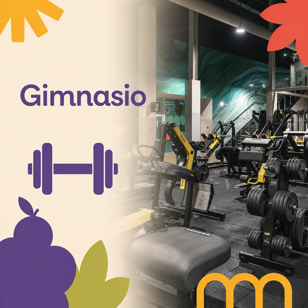 Gimnasio