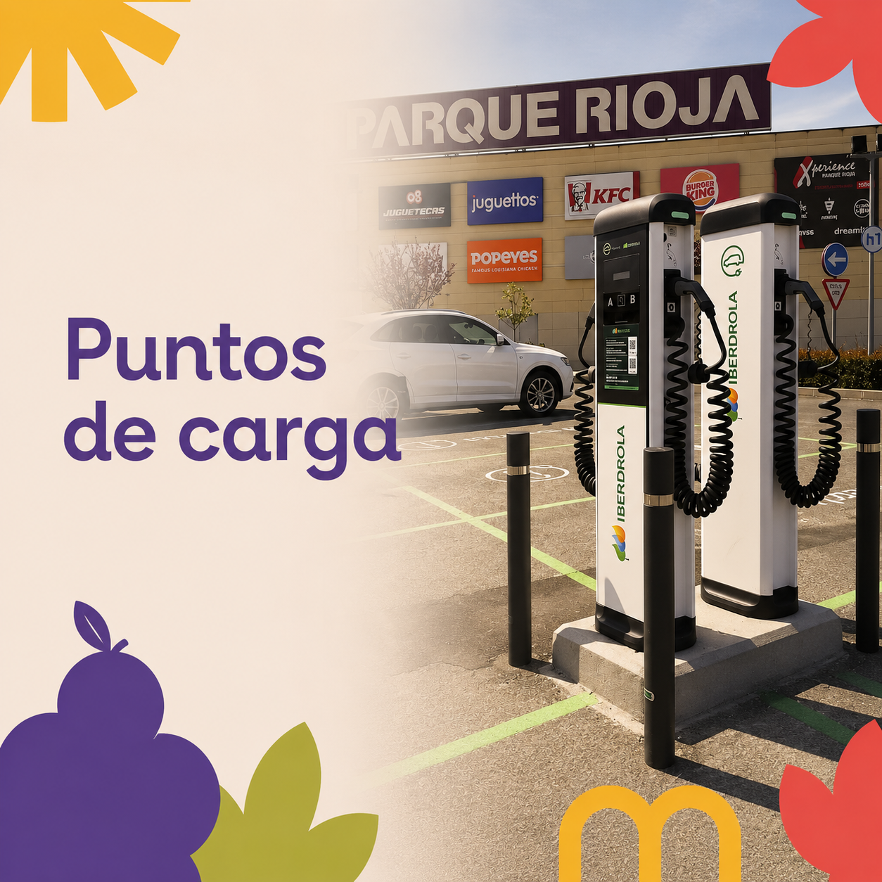 Servicio Cargador de batería de coche 