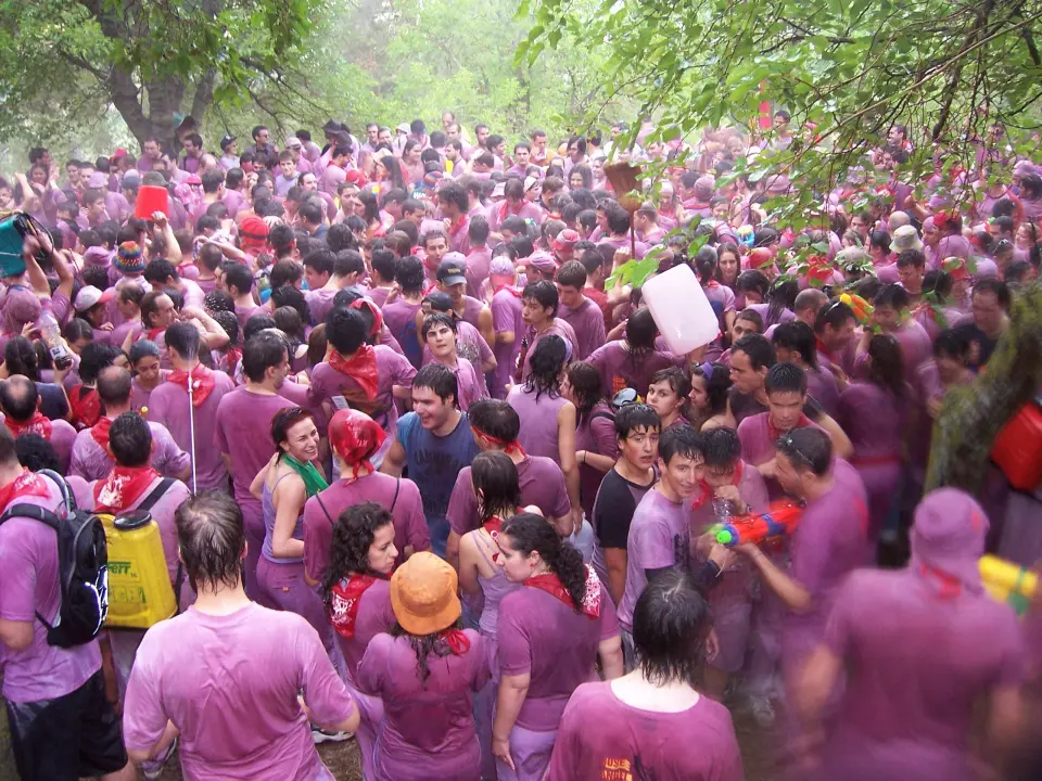 Foto noticia: Batalla del vino de Haro: tradición riojana