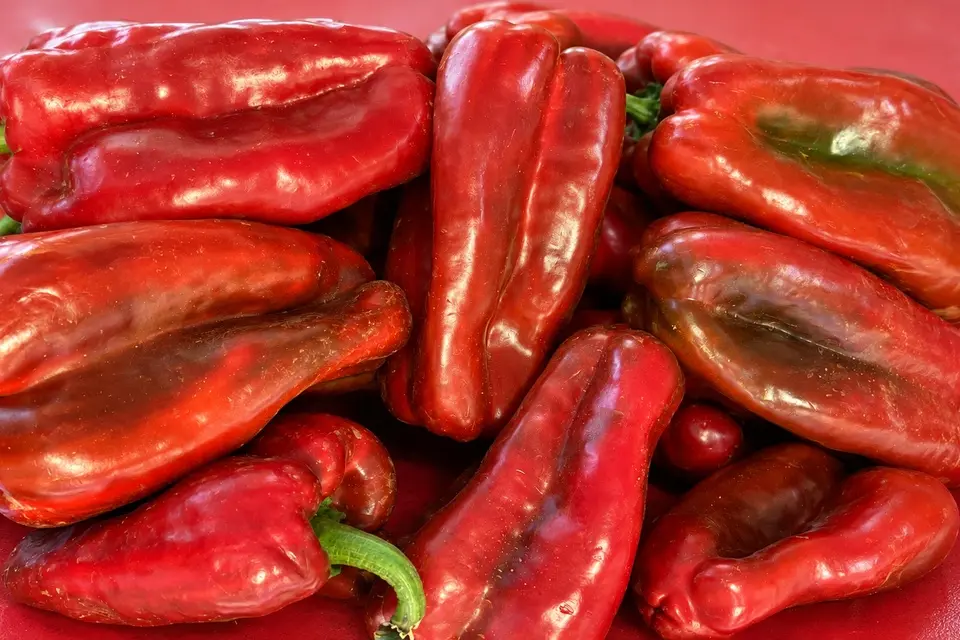Foto noticia: Pimientos asados en Parque Rioja | Conservas Sacristán