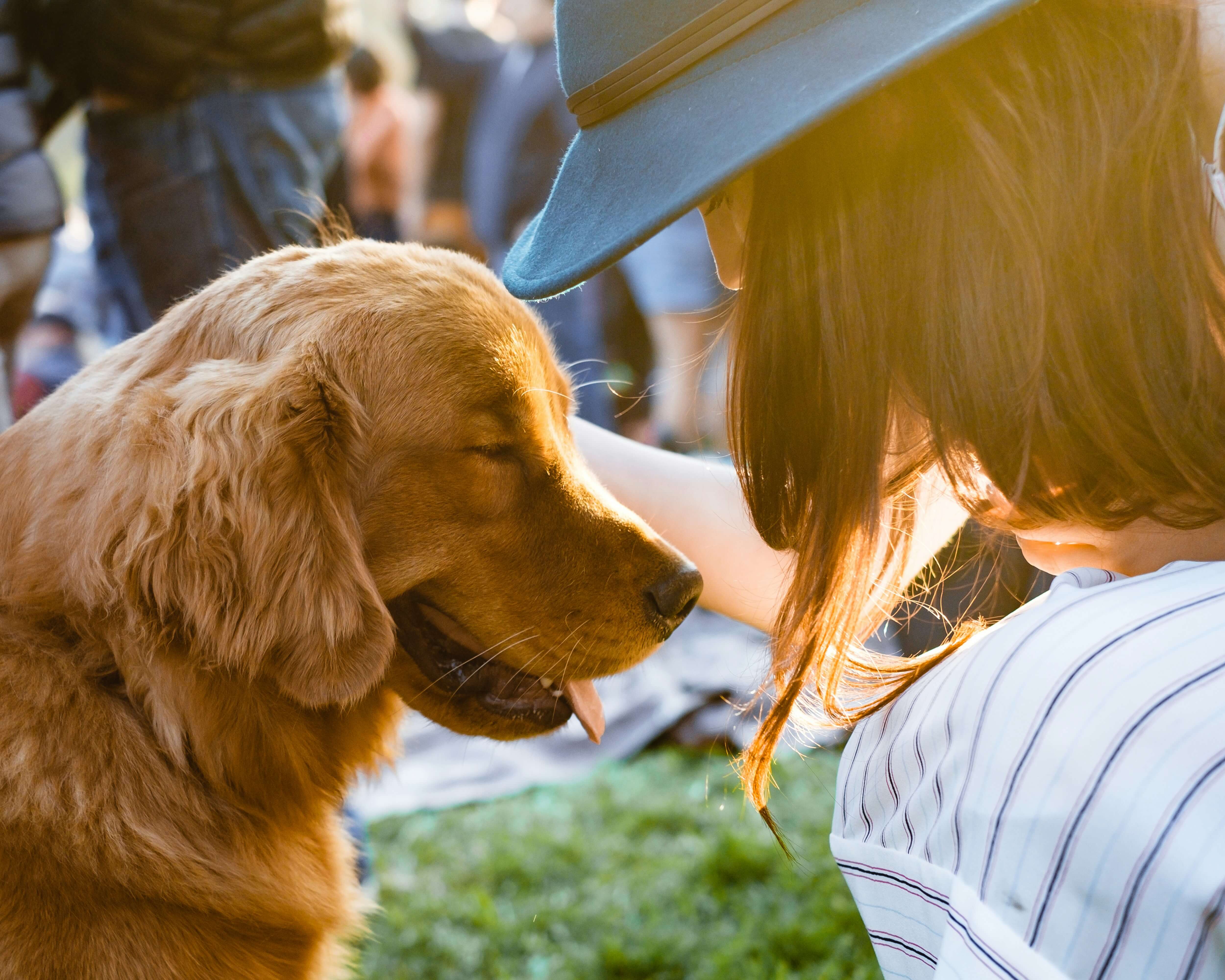 Foto noticia: Descubre estos lugares donde comer en Logroño con perro